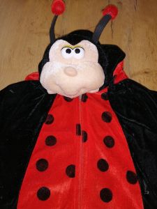 Kids Costumes to Hire - Ladybug - CHILD